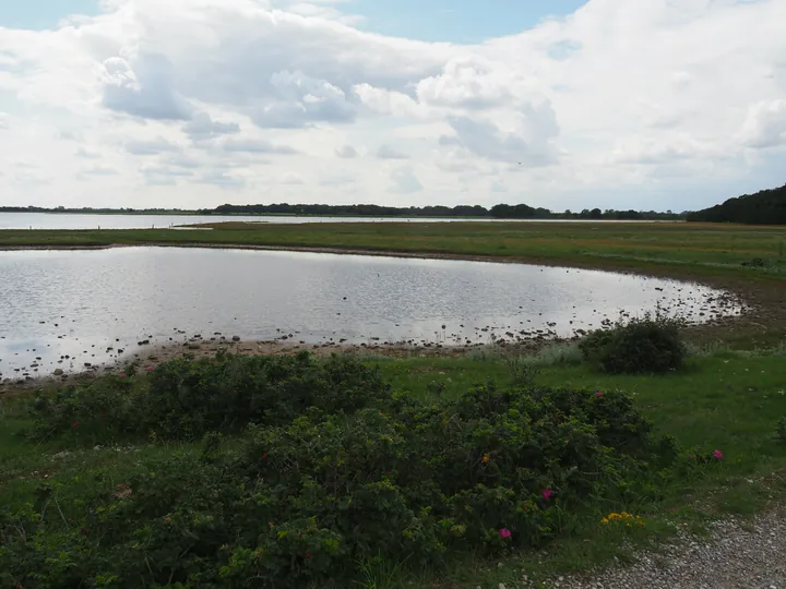 Halshuisene + Enebaerodde Beach (Denemarken)